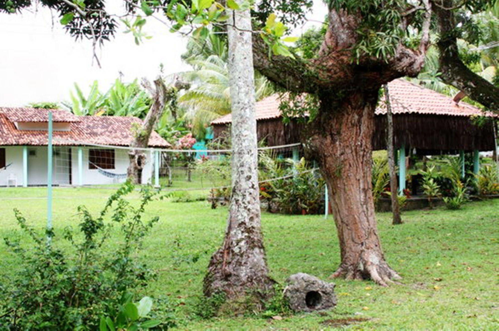 Pousada Sitio Paraiso Itacare Ngoại thất bức ảnh
